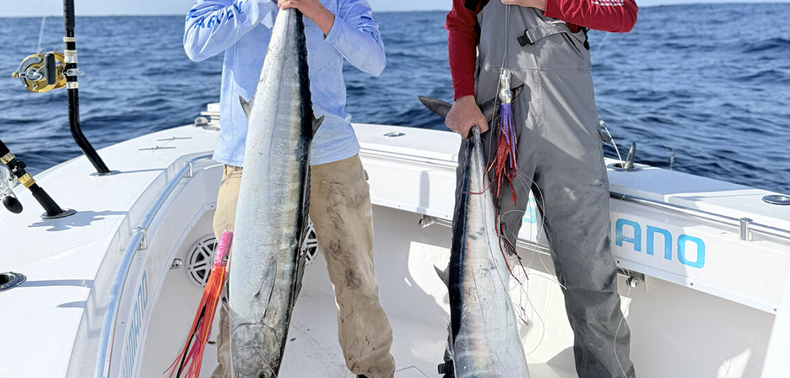 Topsail/Sneads Ferry – April 2026