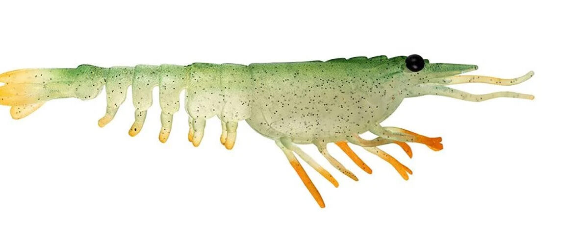 Nomad Switcher Shrimp Nomad Switcher Shrimp