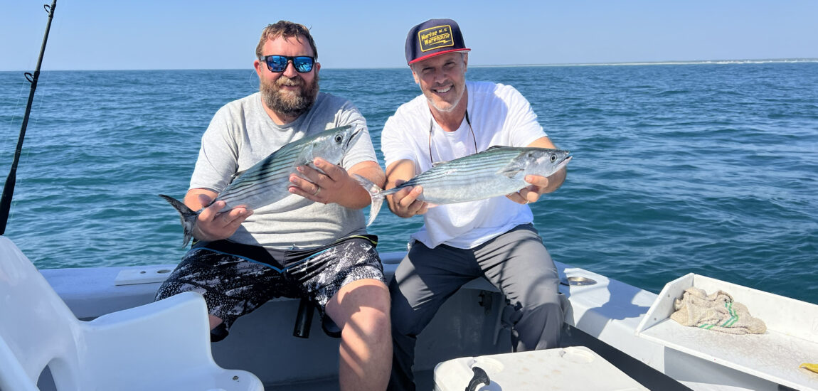 Tidelines – May 2026