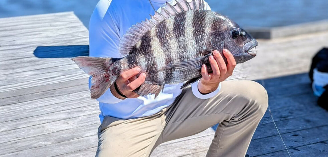 Carolina Beach – June 2026 Carolina Beach – June 2026