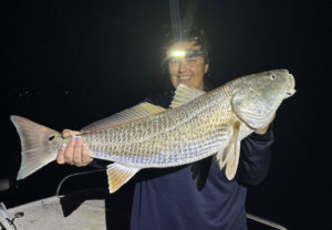 Topsail/Sneads Ferry – October 2026 Image